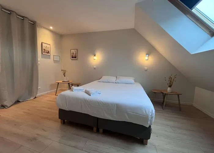 Le Saint Pierre Grand Duplex Hyper Centre, Port Apartment Caen